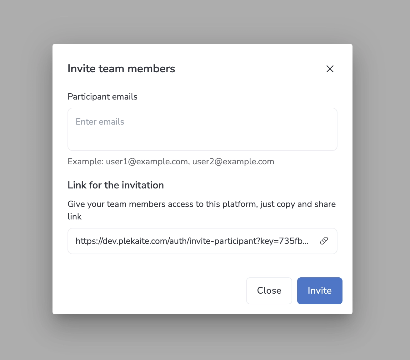 Invite team member dialog